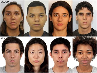 Facial morphometric differences across face databases: influence of ethnicities and sex